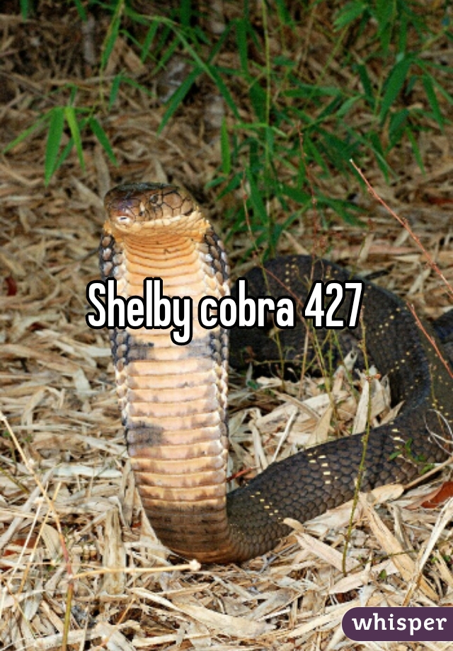 Shelby cobra 427