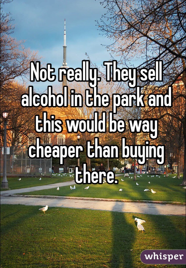 Not really. They sell alcohol in the park and this would be way cheaper than buying there.