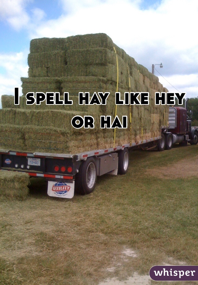 I spell hay like hey or hai