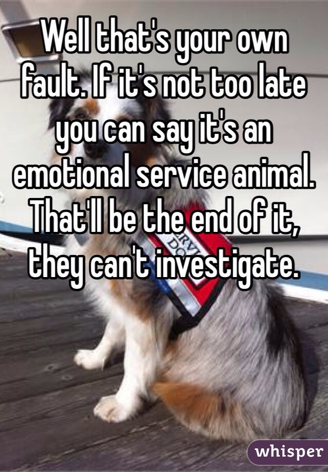 Well that's your own fault. If it's not too late you can say it's an emotional service animal. That'll be the end of it, they can't investigate. 