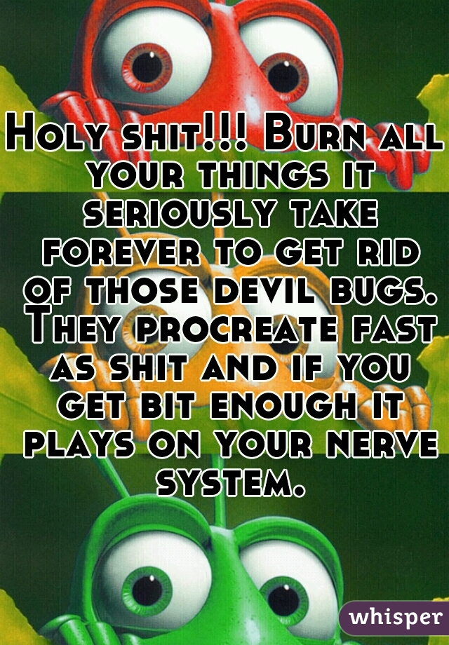 Holy shit!!! Burn all your things it seriously take forever to get rid of those devil bugs. They procreate fast as shit and if you get bit enough it plays on your nerve system.