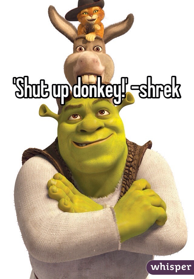 'Shut up donkey!' -shrek
