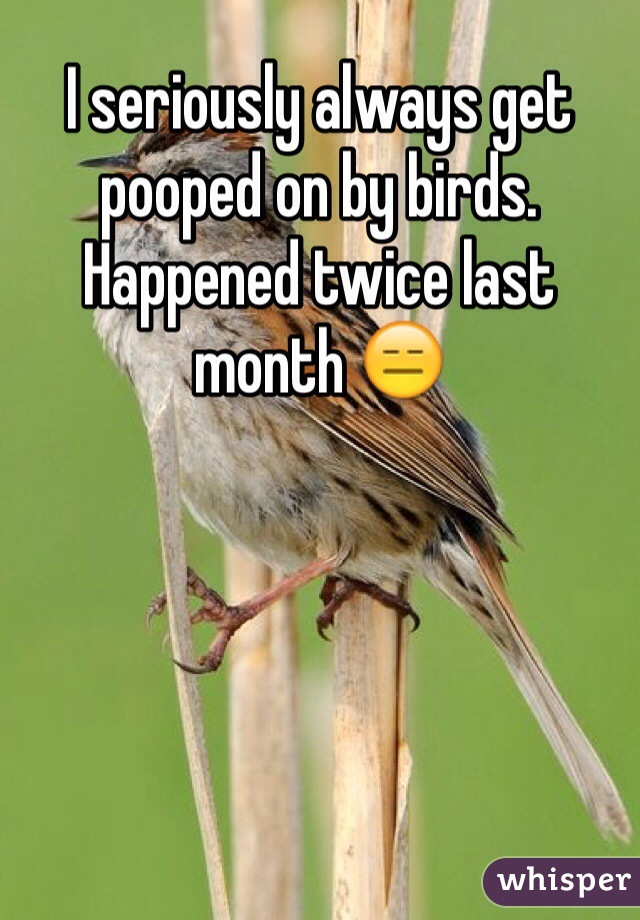 I seriously always get pooped on by birds. Happened twice last month 😑