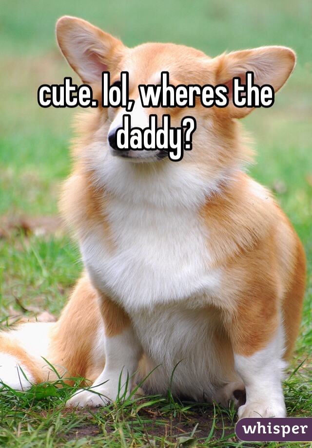 cute. lol, wheres the daddy?