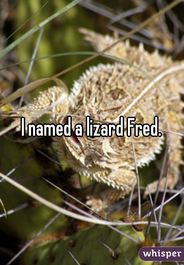 I named a lizard Fred.