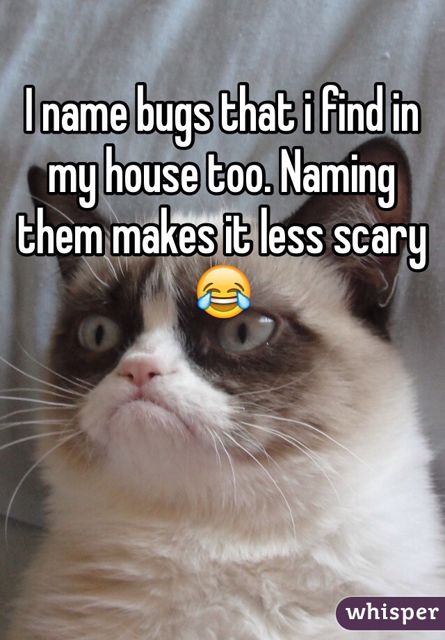 I name bugs that i find in my house too. Naming them makes it less scary 😂