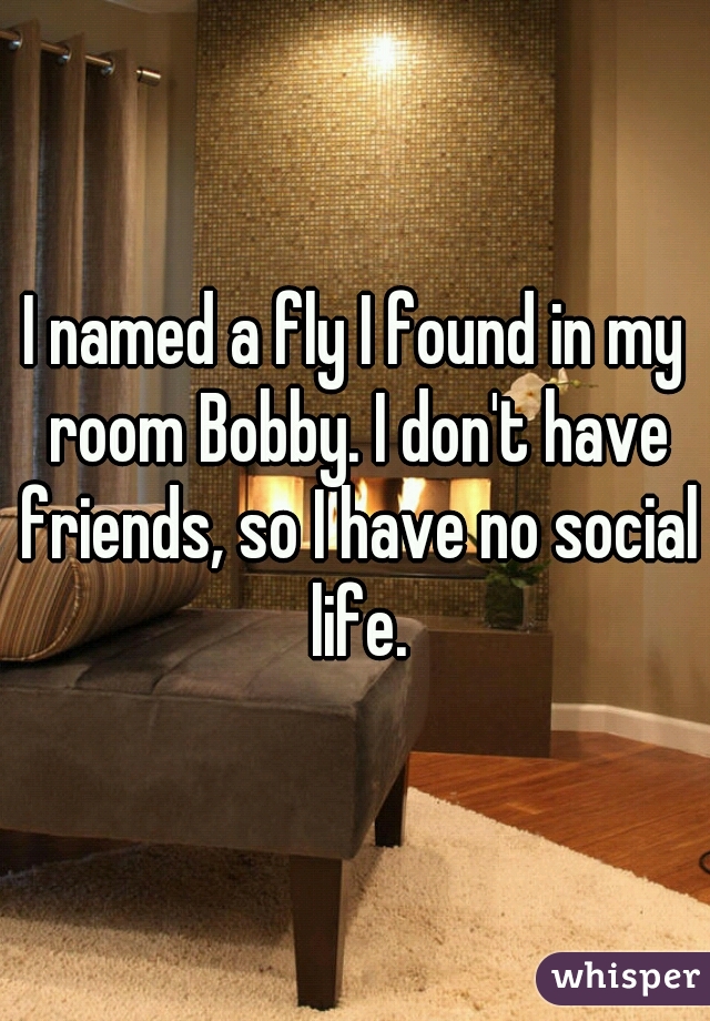 I named a fly I found in my room Bobby. I don't have friends, so I have no social life.
