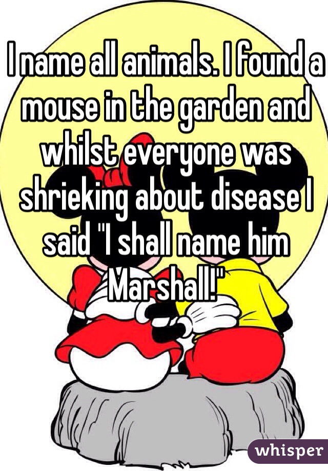 I name all animals. I found a mouse in the garden and whilst everyone was shrieking about disease I said "I shall name him Marshall!"