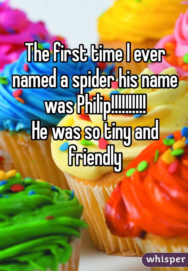 The first time I ever named a spider his name was Philip!!!!!!!!!!
He was so tiny and friendly 