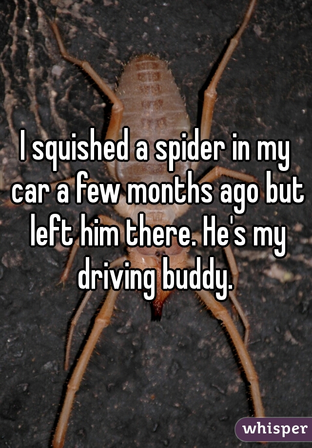 I squished a spider in my car a few months ago but left him there. He's my driving buddy. 