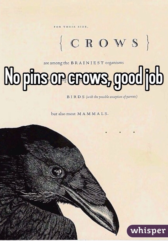 No pins or crows, good job 