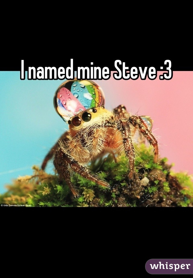 I named mine Steve :3