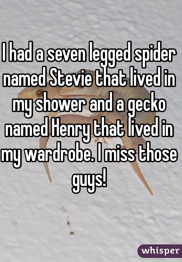 I had a seven legged spider named Stevie that lived in my shower and a gecko named Henry that lived in my wardrobe. I miss those guys! 