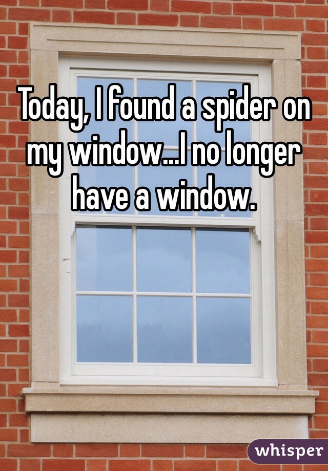Today, I found a spider on my window...I no longer have a window. 