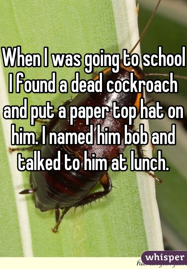 When I was going to school I found a dead cockroach and put a paper top hat on him. I named him bob and talked to him at lunch. 