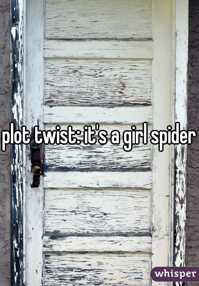 plot twist: it's a girl spider