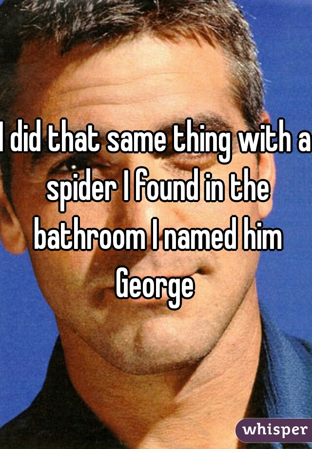 I did that same thing with a spider I found in the bathroom I named him George 