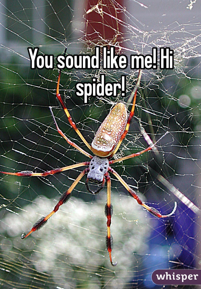 You sound like me! Hi spider!