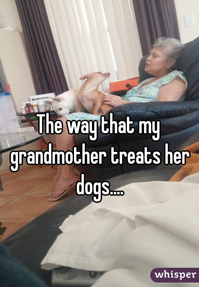 The way that my grandmother treats her dogs....