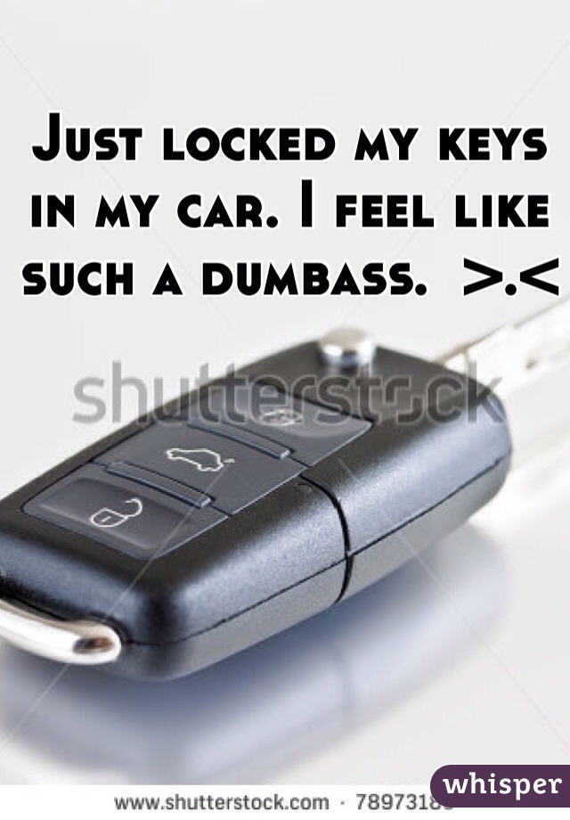 Just locked my keys in my car. I feel like such a dumbass.  >.<