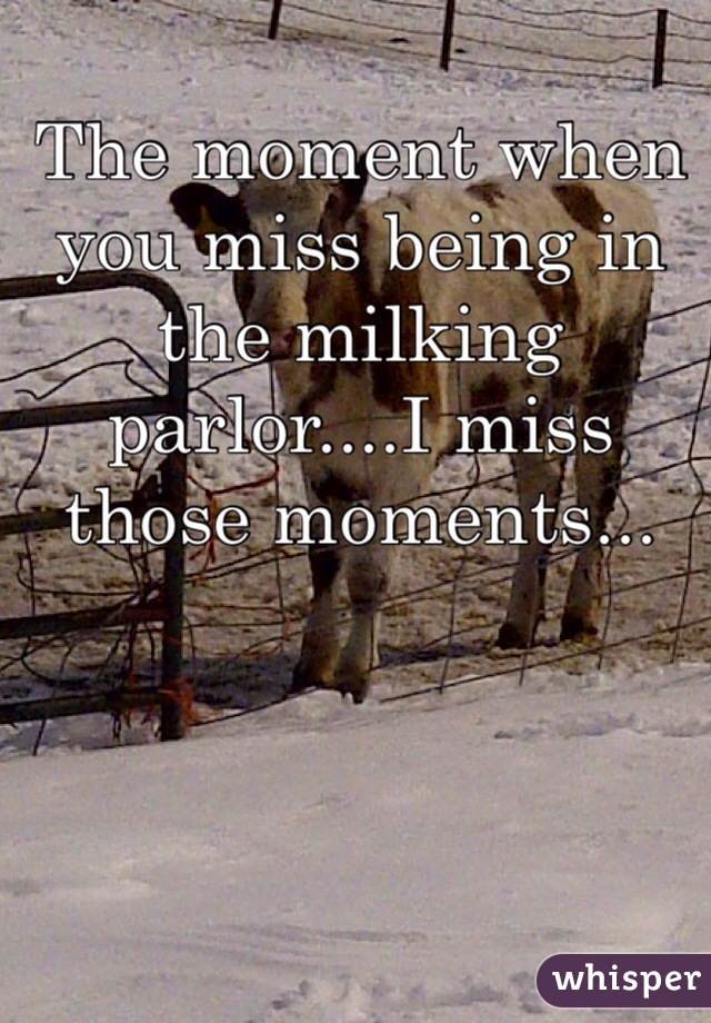 The moment when you miss being in the milking parlor....I miss those moments...