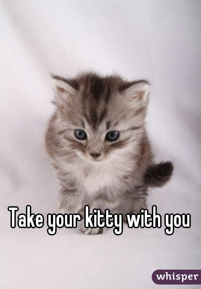 Take your kitty with you