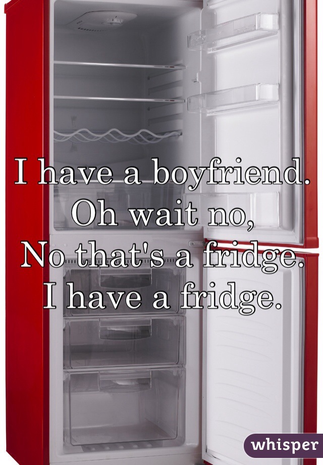 I have a boyfriend. 
Oh wait no, 
No that's a fridge. 
I have a fridge. 