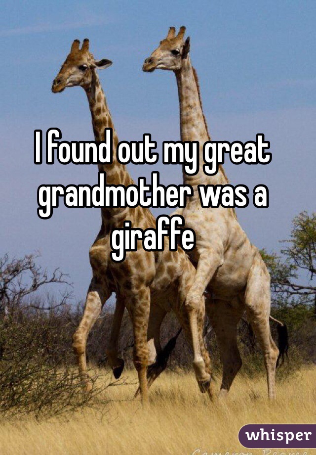 I found out my great grandmother was a giraffe 