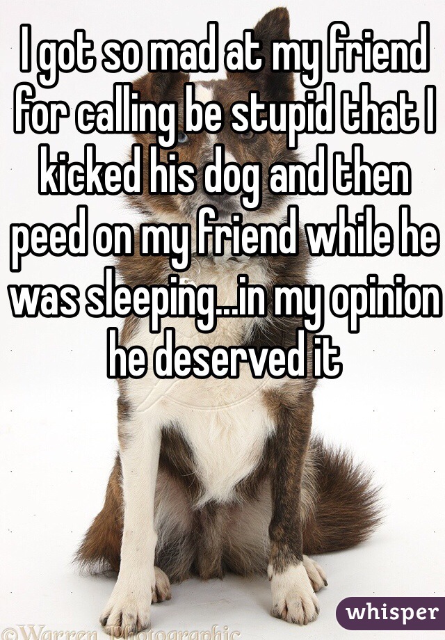 I got so mad at my friend for calling be stupid that I kicked his dog and then peed on my friend while he was sleeping...in my opinion he deserved it