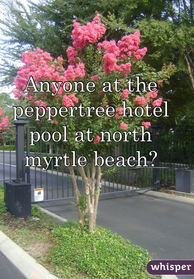 Anyone at the peppertree hotel pool at north myrtle beach?