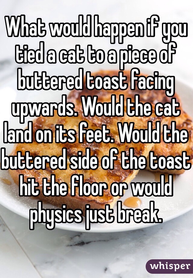 What would happen if you tied a cat to a piece of buttered toast facing upwards. Would the cat land on its feet. Would the buttered side of the toast hit the floor or would physics just break. 