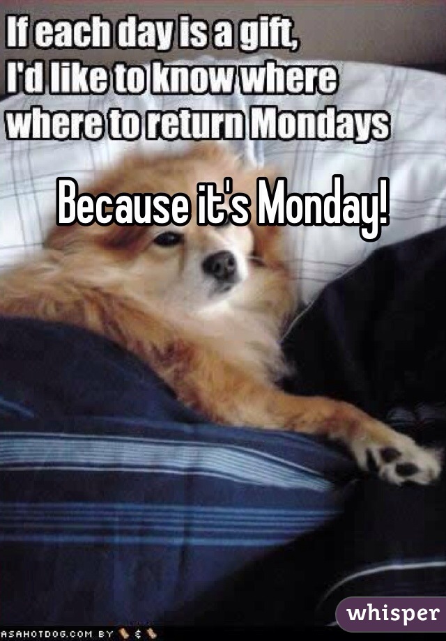 Because it's Monday!