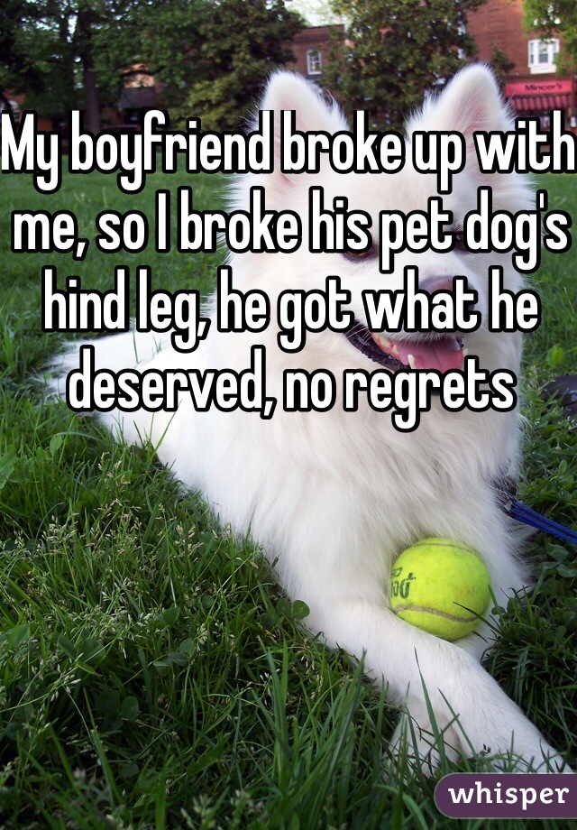 My boyfriend broke up with me, so I broke his pet dog's hind leg, he got what he deserved, no regrets