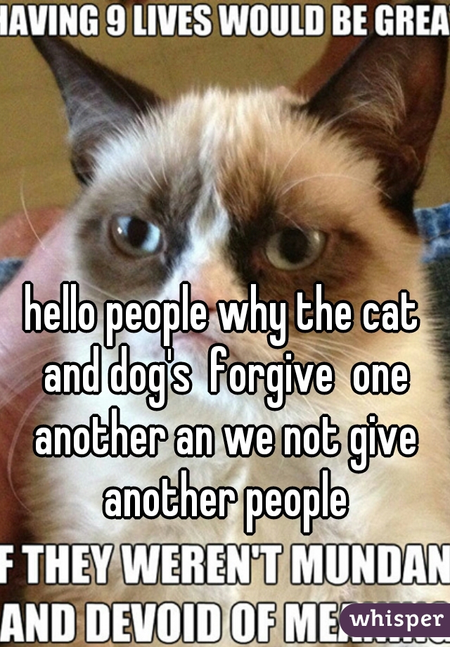 hello people why the cat and dog's  forgive  one another an we not give another people