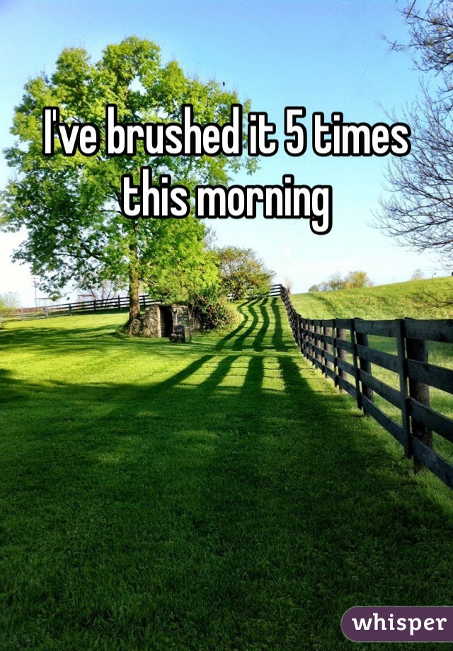I've brushed it 5 times this morning 