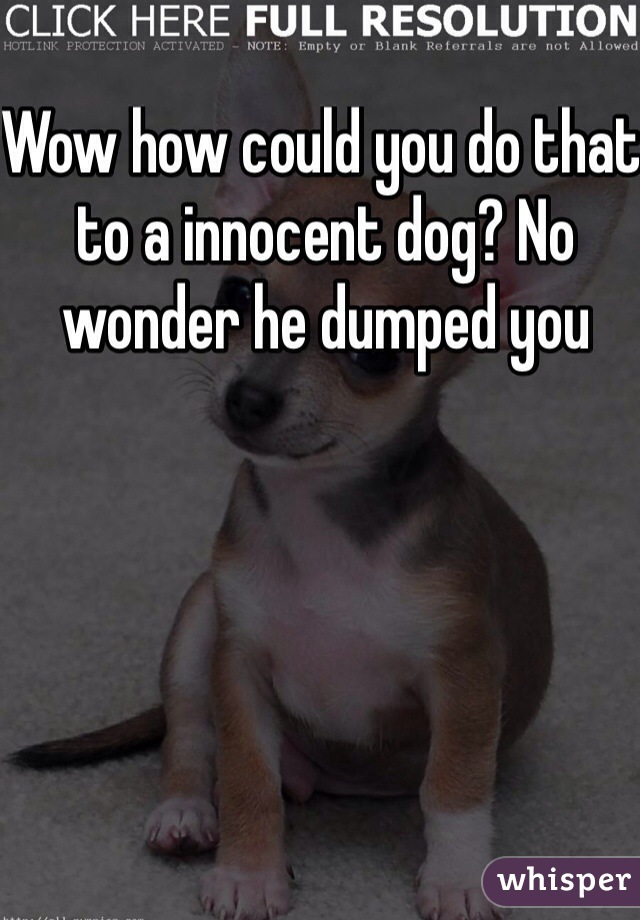 Wow how could you do that to a innocent dog? No wonder he dumped you