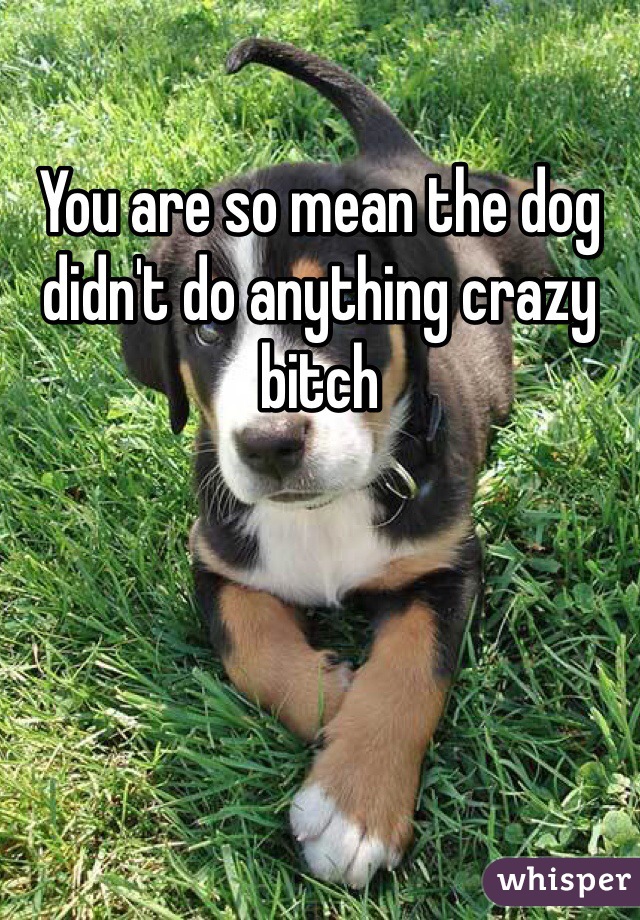 You are so mean the dog didn't do anything crazy bitch