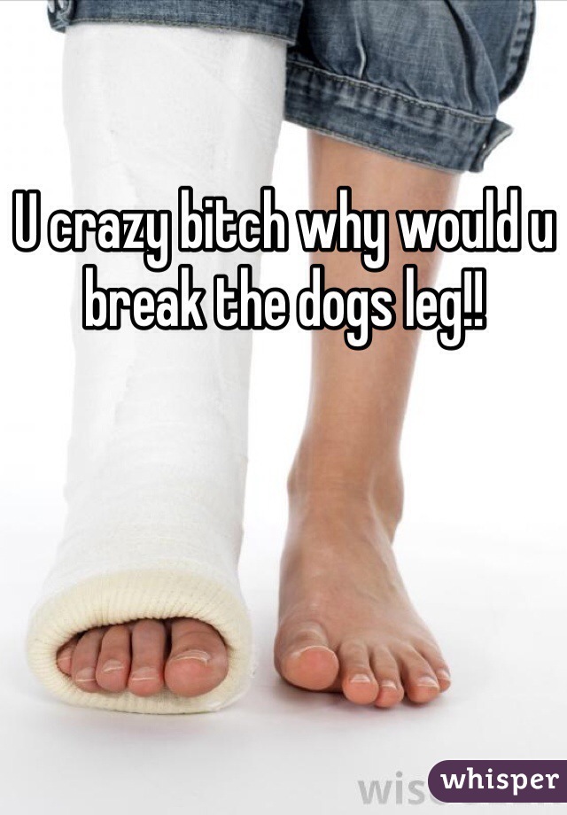 U crazy bitch why would u break the dogs leg!! 