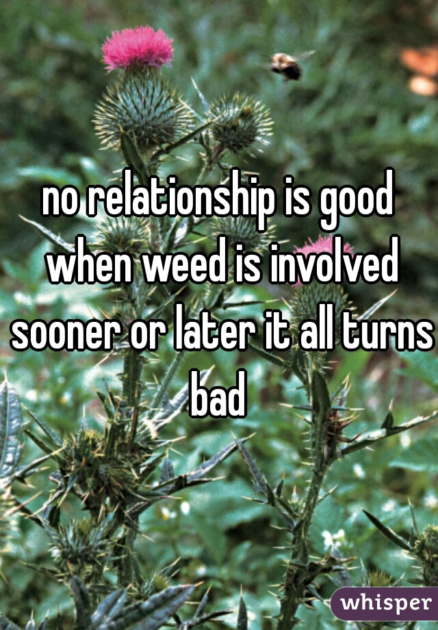no relationship is good when weed is involved sooner or later it all turns bad 