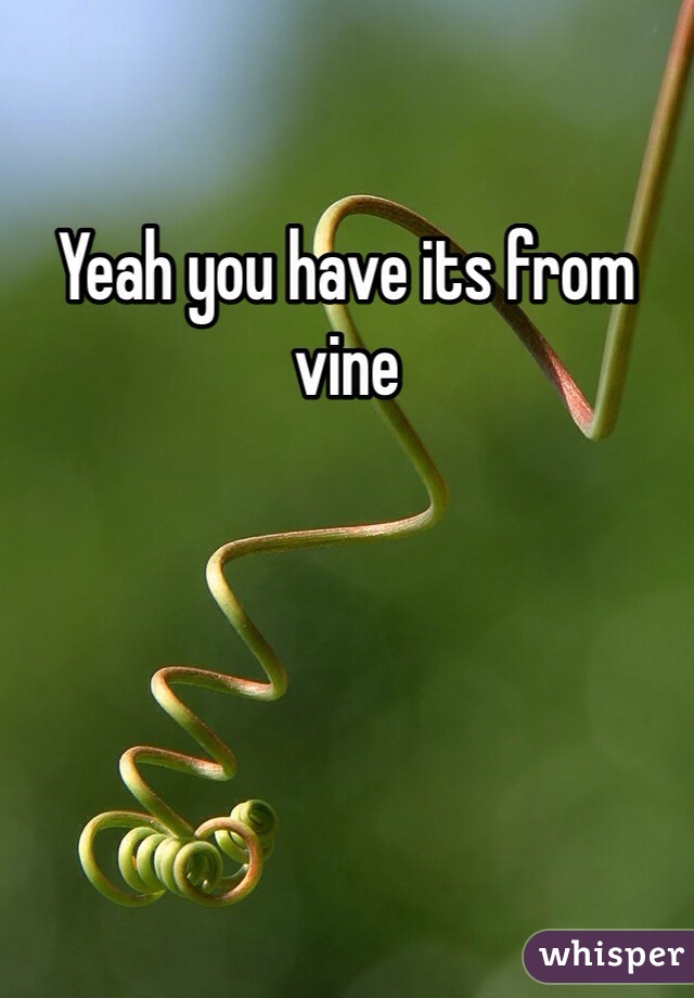 Yeah you have its from vine