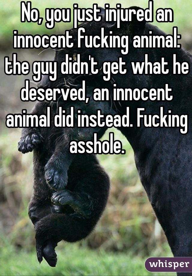 No, you just injured an innocent fucking animal: the guy didn't get what he deserved, an innocent animal did instead. Fucking asshole. 