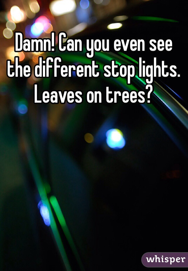 Damn! Can you even see the different stop lights. Leaves on trees?