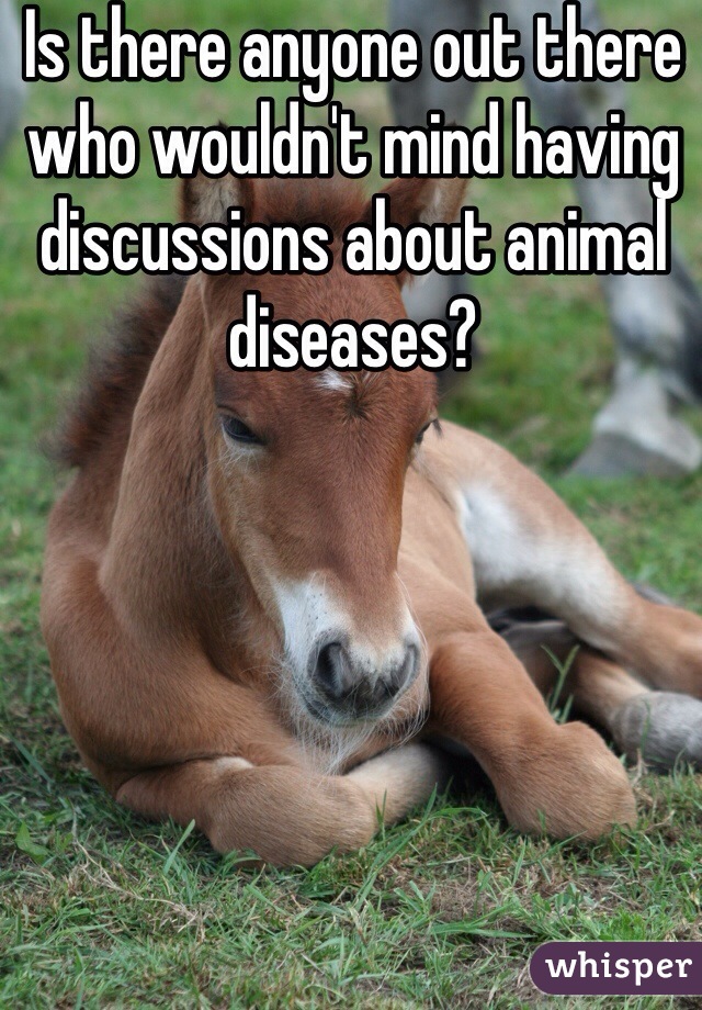 Is there anyone out there who wouldn't mind having discussions about animal diseases?