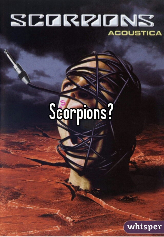 Scorpions?