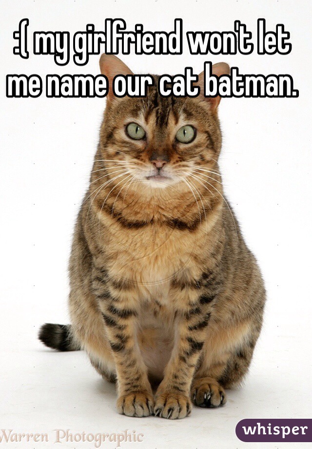 :( my girlfriend won't let me name our cat batman.