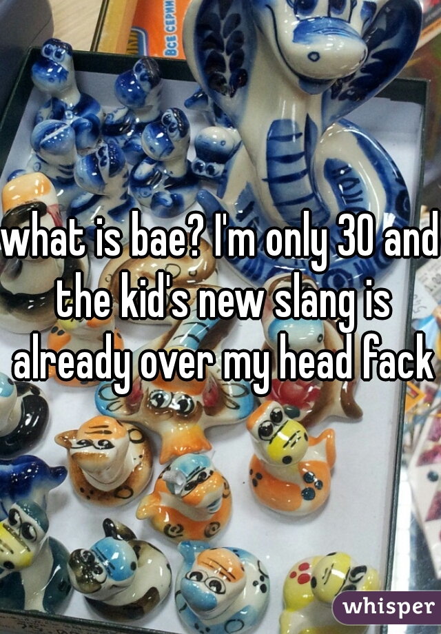 what is bae? I'm only 30 and the kid's new slang is already over my head fack