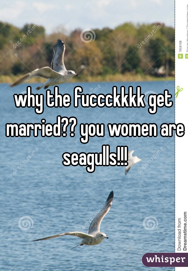 why the fuccckkkk get married?? you women are seagulls!!!