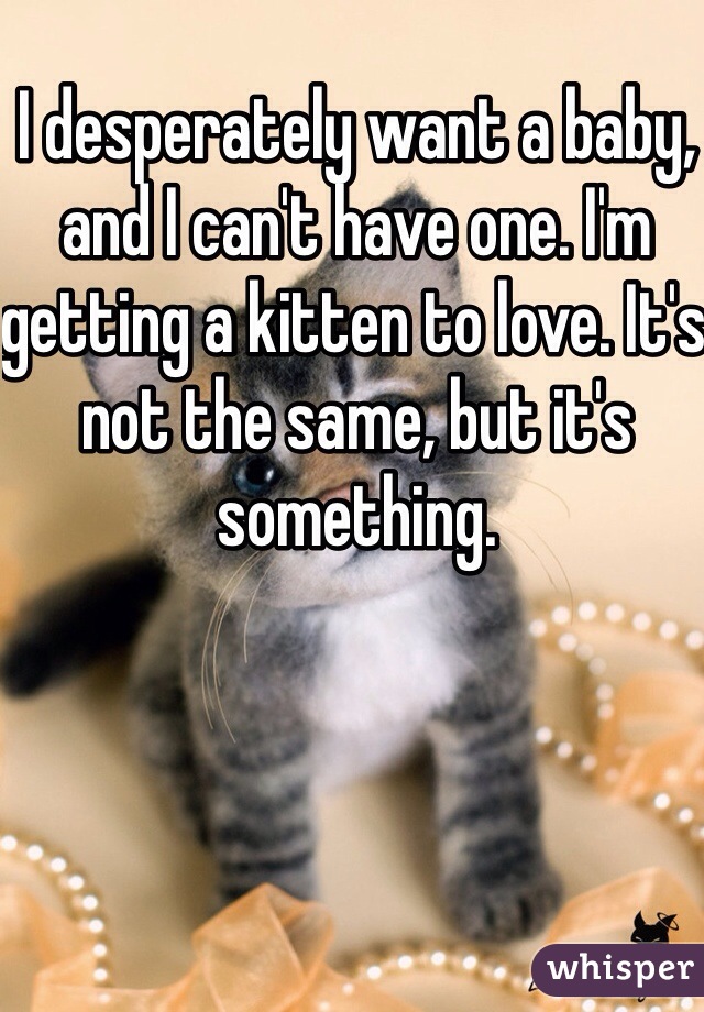 I desperately want a baby, and I can't have one. I'm getting a kitten to love. It's not the same, but it's something.