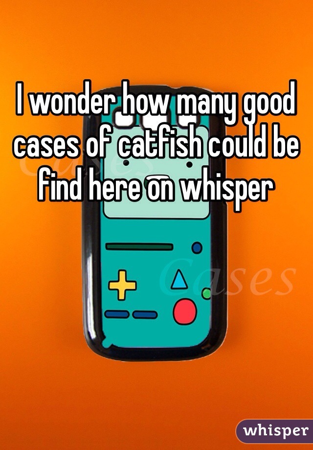 I wonder how many good cases of catfish could be find here on whisper
