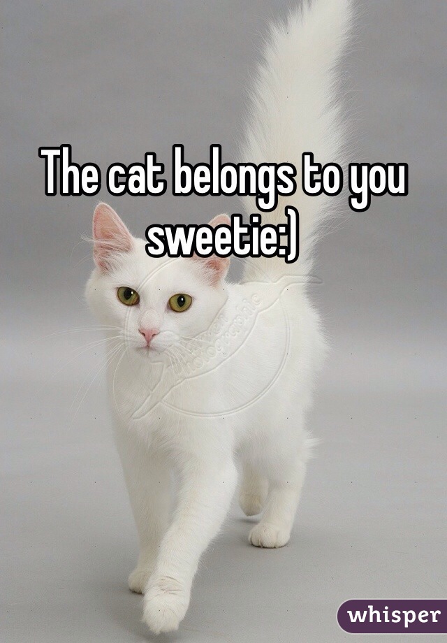 The cat belongs to you sweetie:)